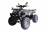 Квадрцоикл WELS Thunder 200cc LUX 2019 MSD