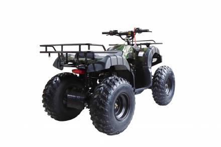 Квадрцоикл WELS Thunder 200cc LUX 2019 MSD