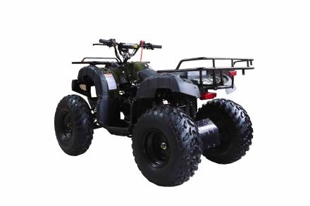 Квадрцоикл WELS Thunder 200cc LUX 2019 MSD
